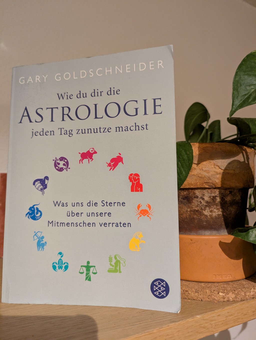 Wie du dir die ASTROLOGIE jeden Tag zunutze&nbsp;machst